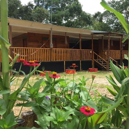 Hostal Cano Nevera La Macarena Luaran gambar