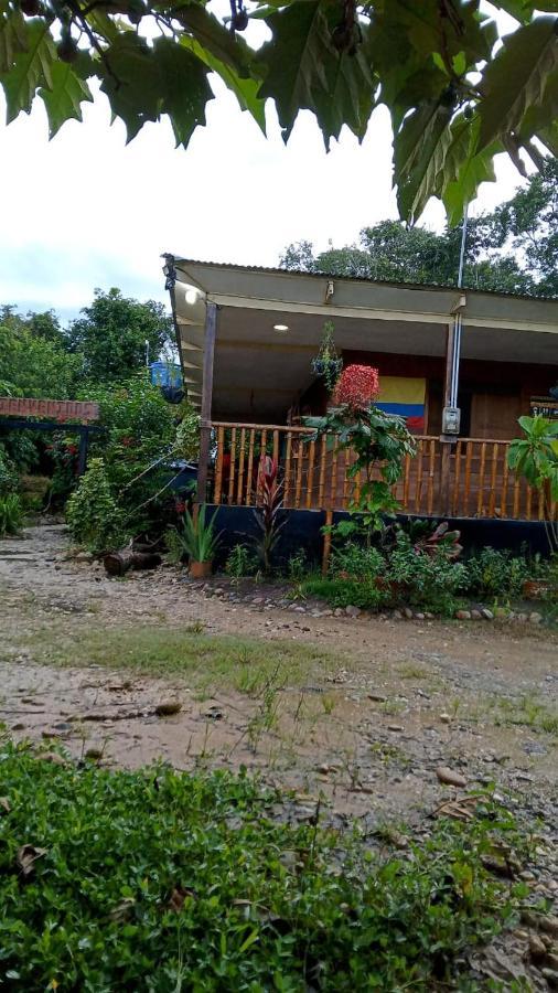 Hostal Cano Nevera La Macarena Luaran gambar